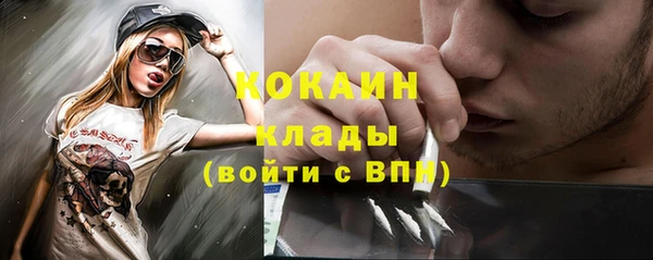 сатива Алзамай