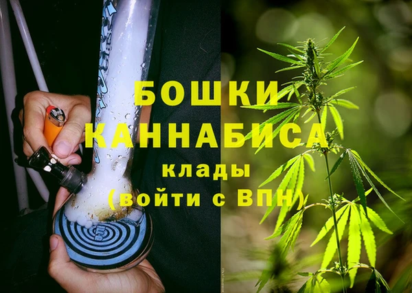 сатива Алзамай
