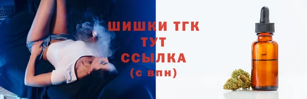 сатива Алзамай