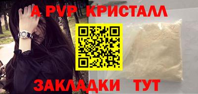 стафф Ставрополь