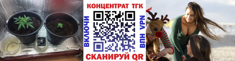 где можно купить   Похвистнево  ТГК гашишное масло 