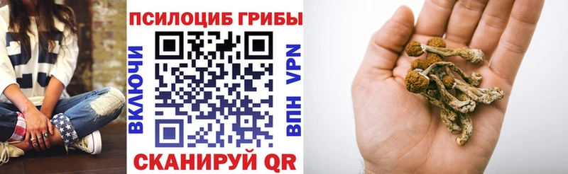 маркетплейс наркотические препараты  Похвистнево  Псилоцибиновые грибы Psilocybine cubensis 