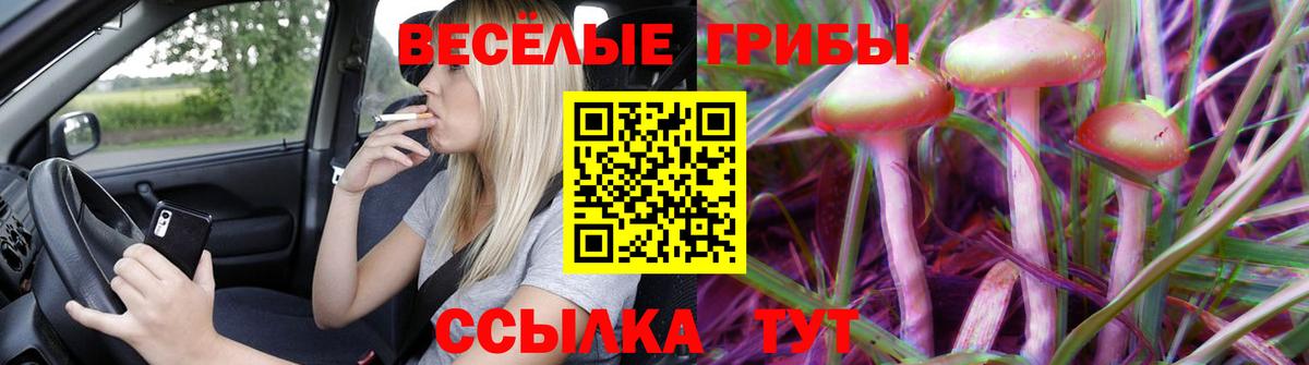 Похвистнево  Галлюциногенные грибы ЛСД  Вход с VPN 